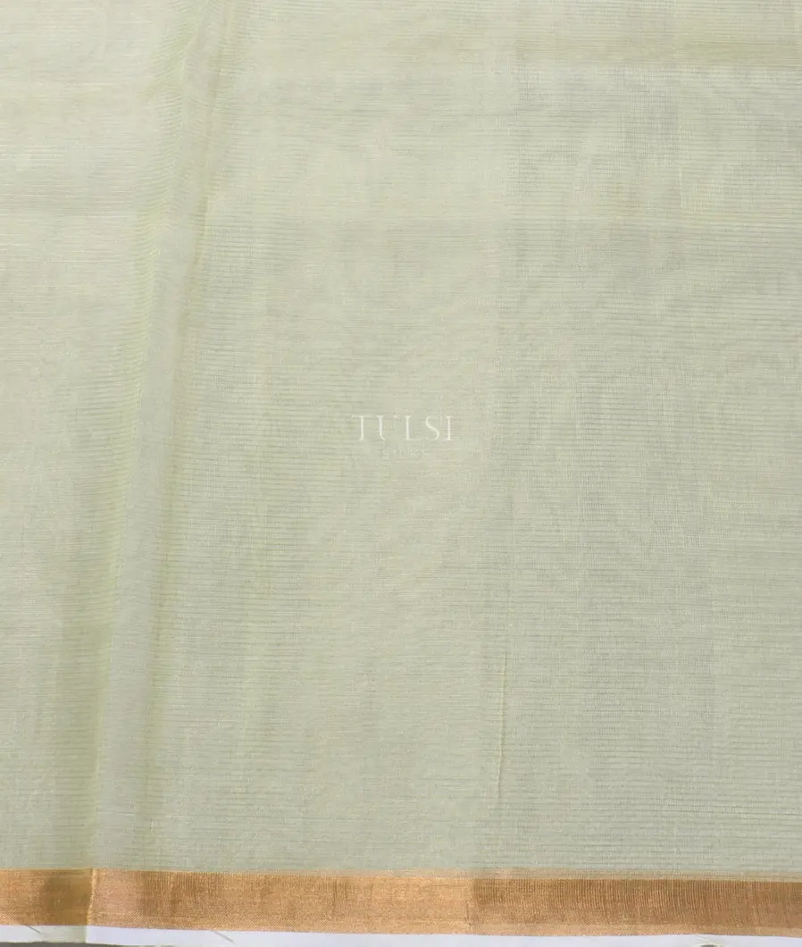 light-yellow-kora-organza-embroidery-saree-t548101-t548101-c