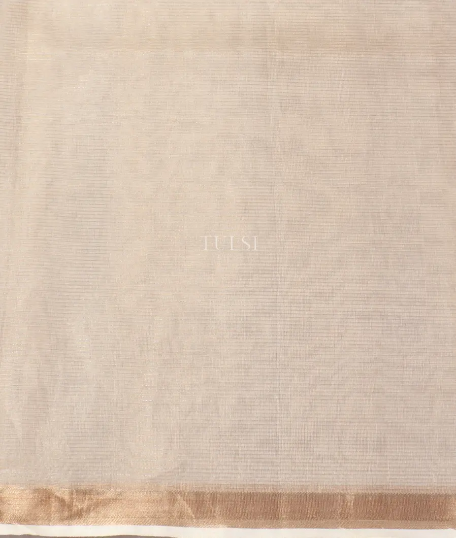 light-pinkish-beige-kora-organza-embroidery-saree-t548103-t548103-c