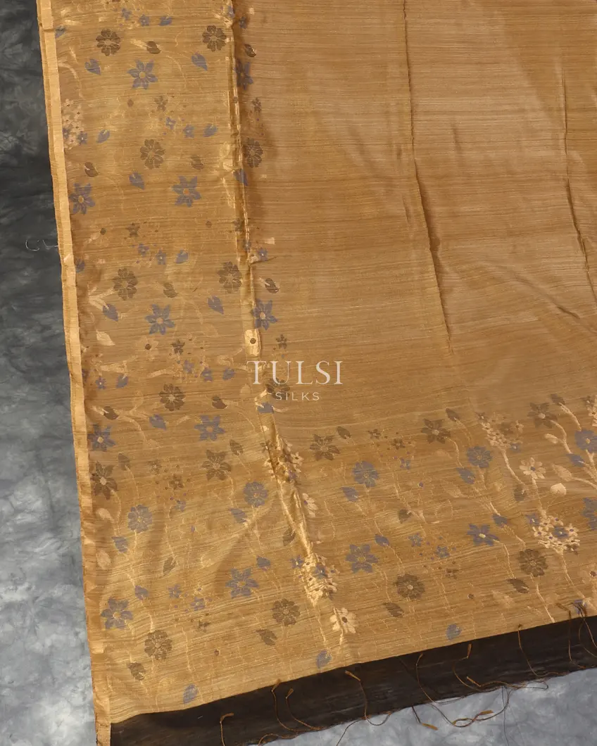 khaki-handwoven-tussar-saree-t548647-t548647-d