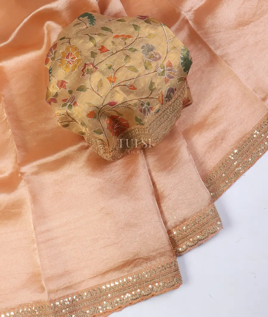 peach-kora-tissue-organza-embroidery-saree-t549009-t549009-b