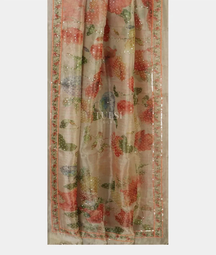 grey-kora-tissue-organza-embroidery-saree-t472066-t472066-b