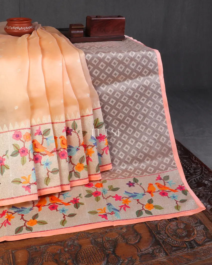 peach-kora-organza-embroidery-saree-t552845-t552845-b