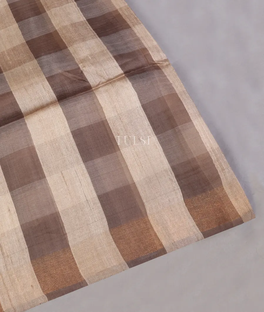 Beige and Grey Tussar Printed Saree T488625-image