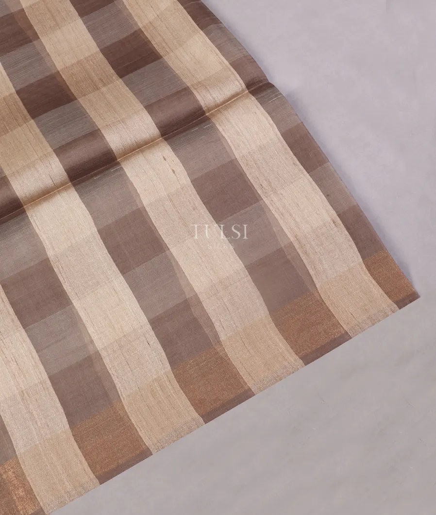 Beige and Grey Tussar Printed Saree T467518-image