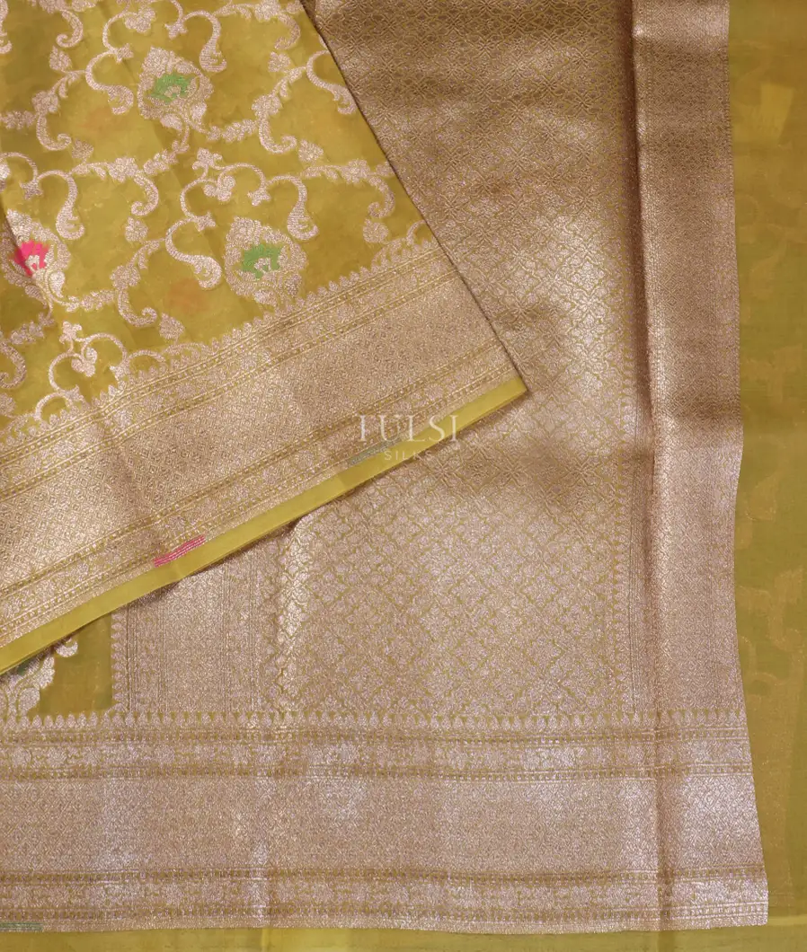 Yellowish Green Banaras Organza Saree T5533894