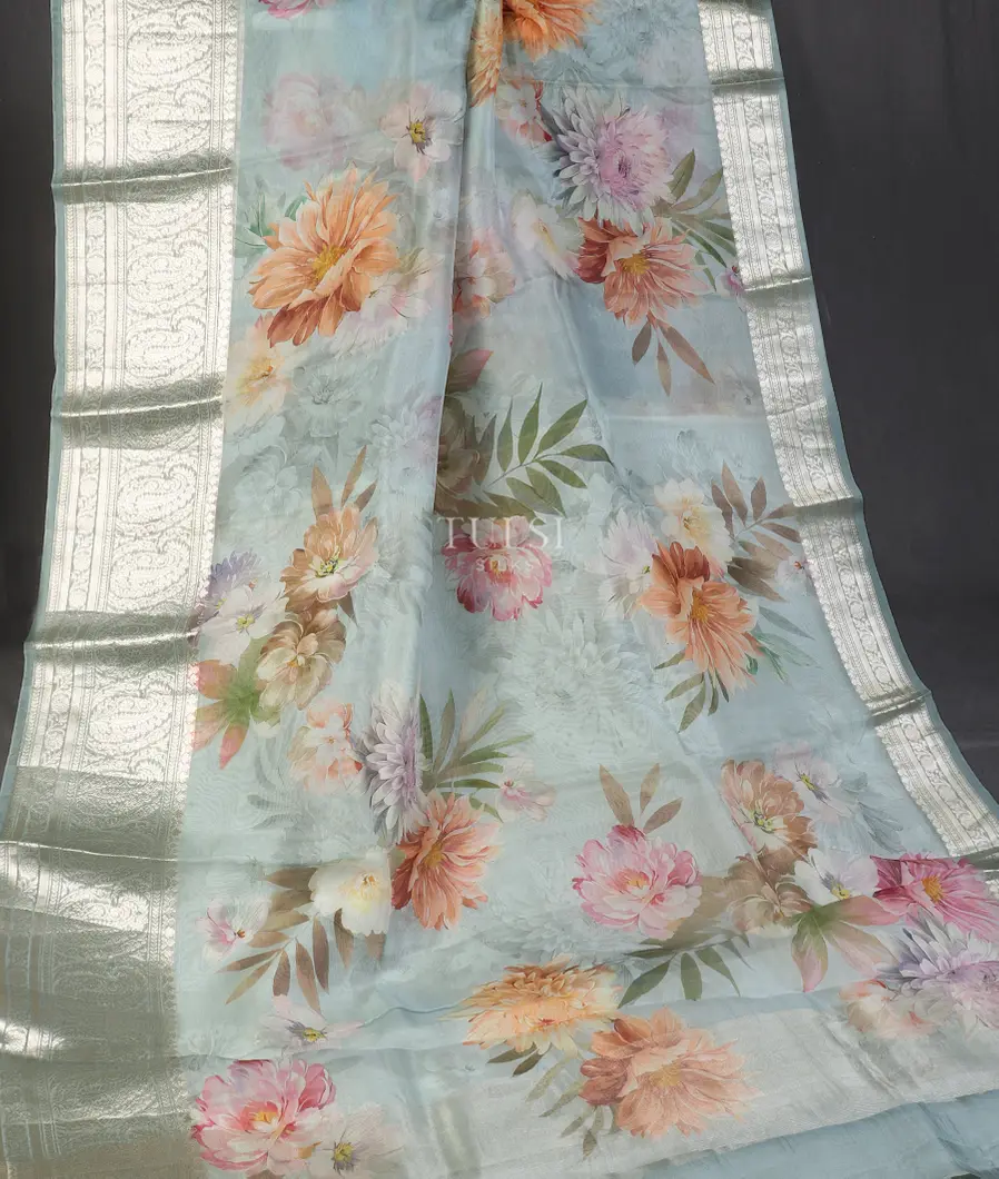 blue-kora-organza-printed-saree-t519751-t519751-b