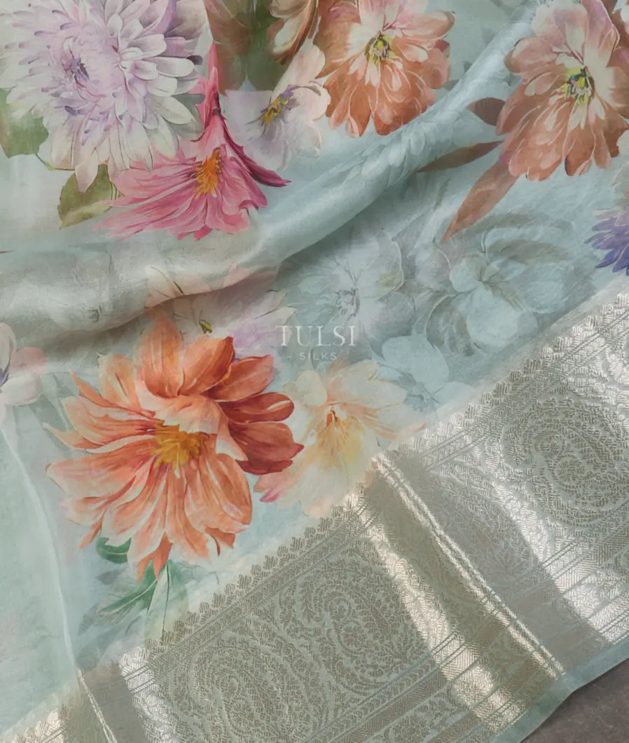 blue-kora-organza-printed-saree-t519751-t519751-e