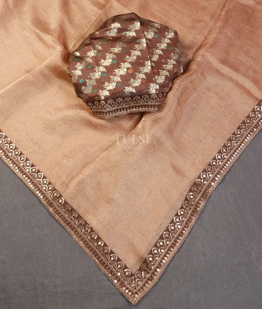 peach-kora-tissue-organza-embroidery-saree-t553849-t553849-b