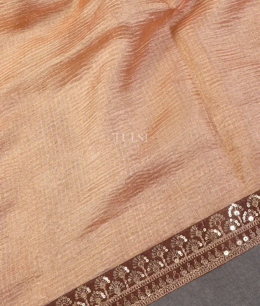 peach-kora-tissue-organza-embroidery-saree-t553849-t553849-e