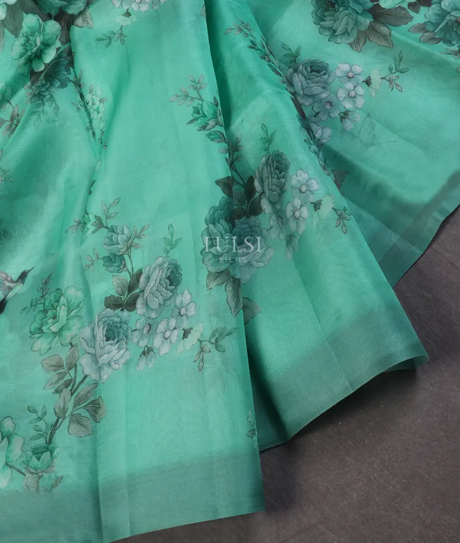 Bluish Green Kora Organza Printed Saree T497746-image
