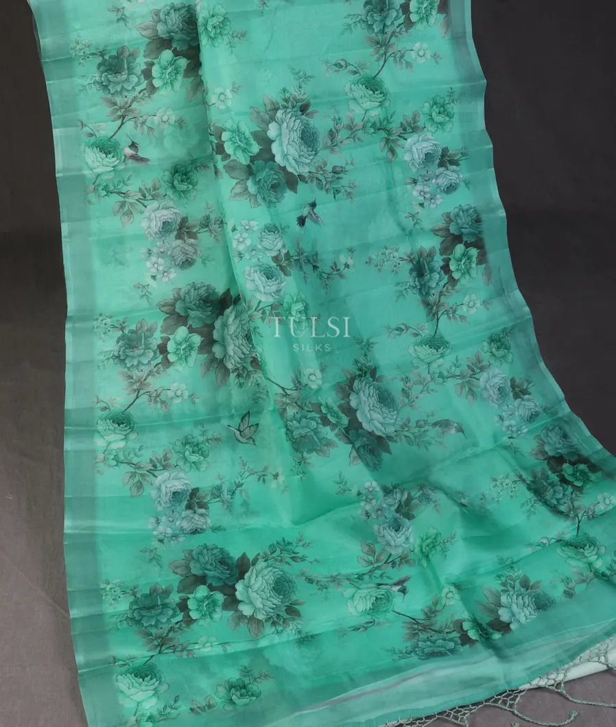 bluish-green-kora-organza-printed-saree-t497746-t497746-b