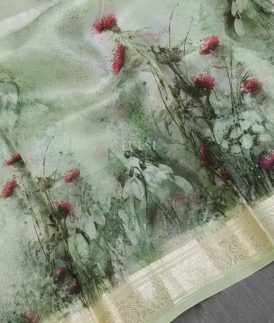 light-green-kora-organza-printed-saree-t521946-t521946-d