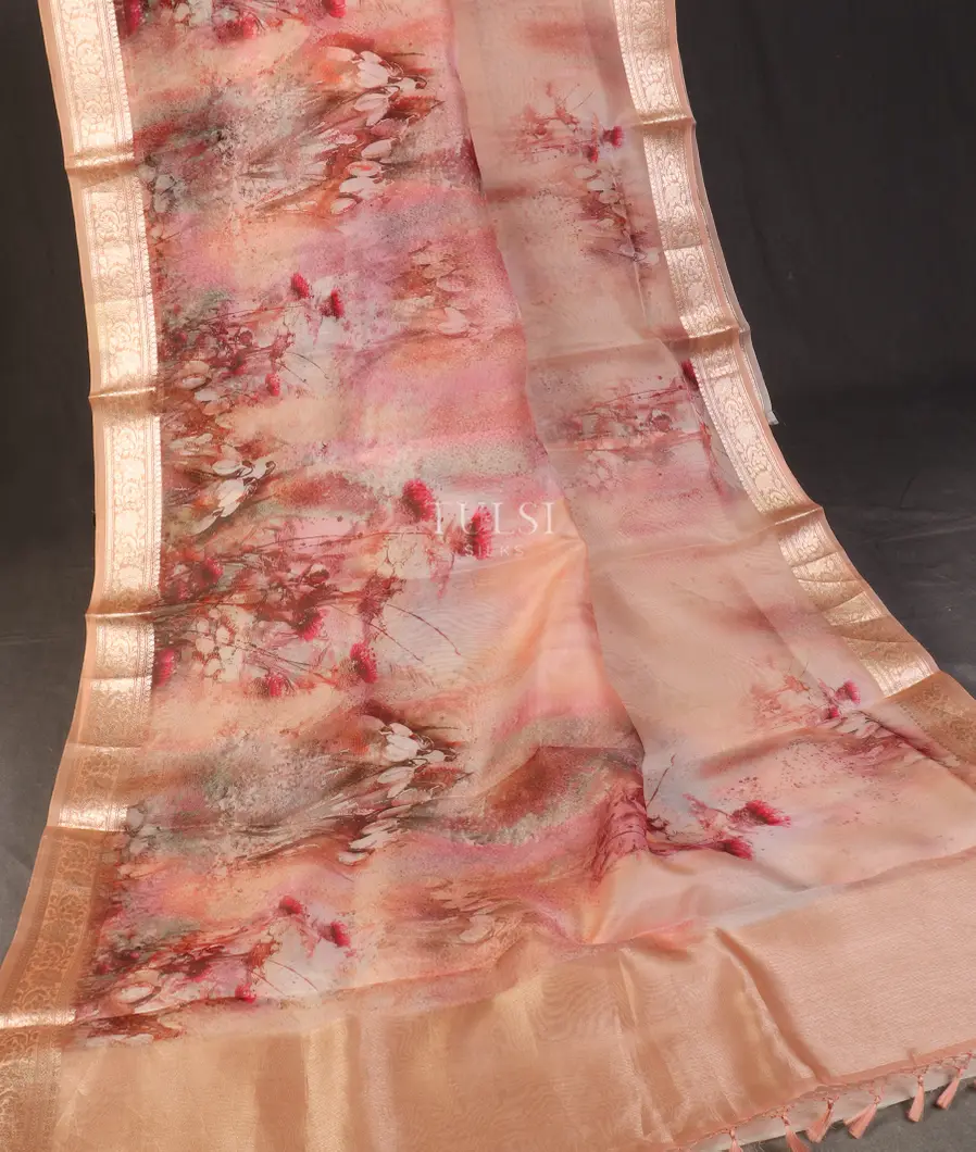 peach-kora-organza-printed-saree-t521950-t521950-b