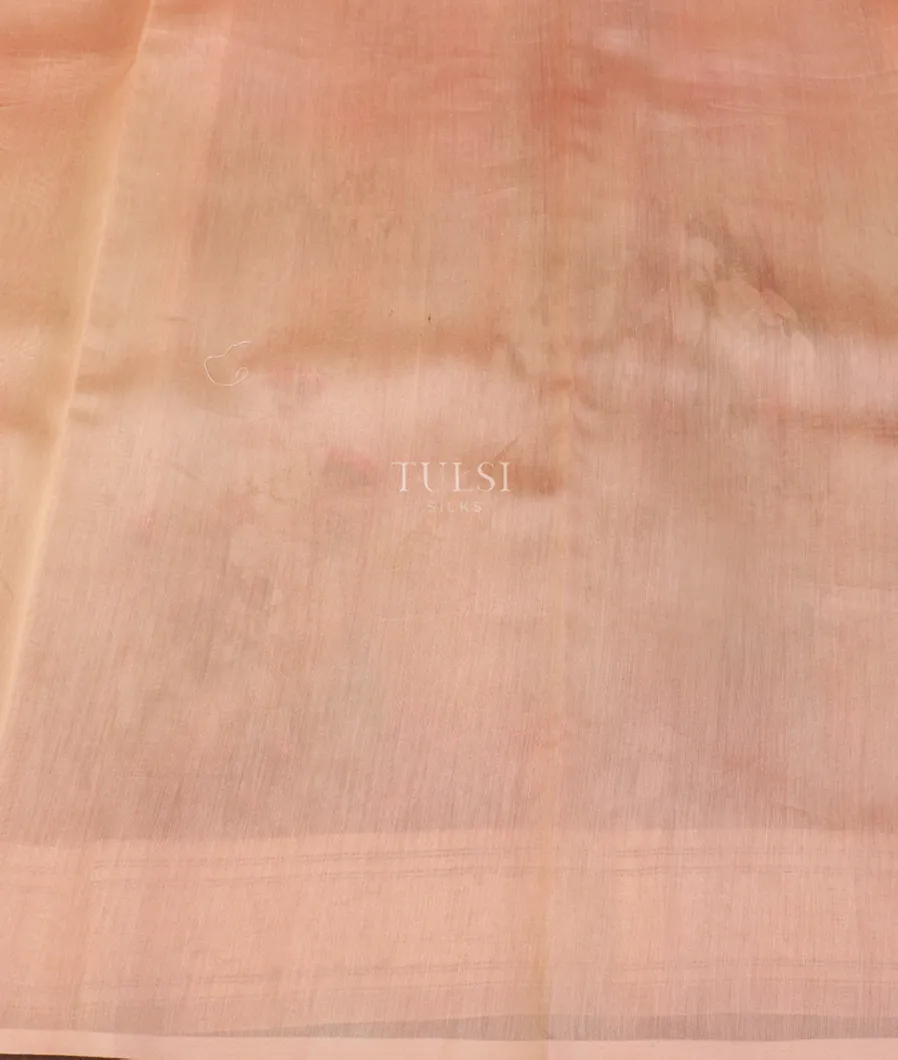 peach-kora-organza-printed-saree-t521950-t521950-c