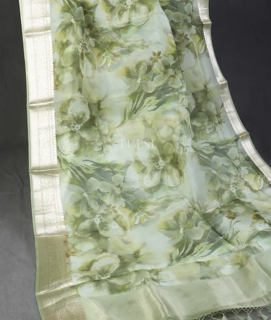 light-green-kora-organza-printed-saree-t521934-t521934-b