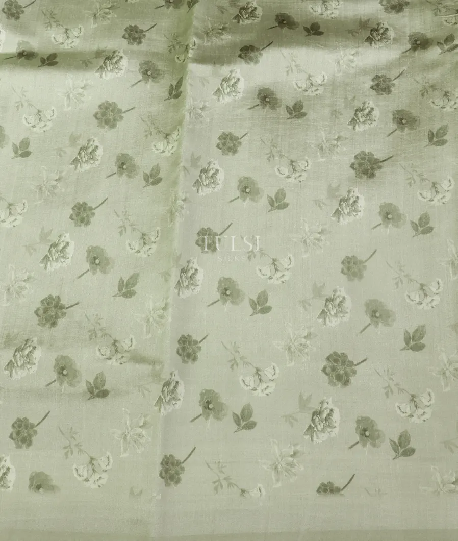 light-green-kora-organza-printed-saree-t521934-t521934-c