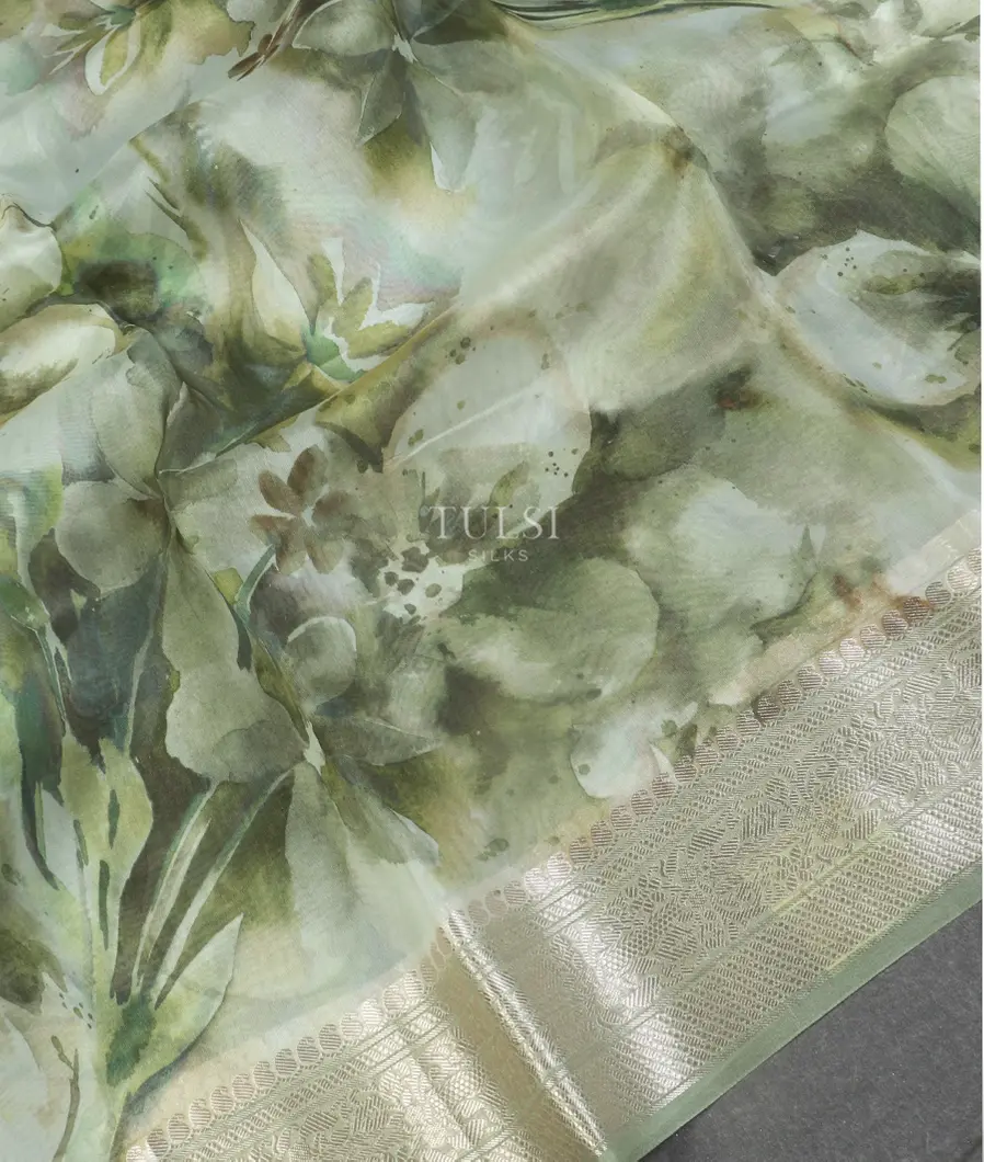 light-green-kora-organza-printed-saree-t521934-t521934-d