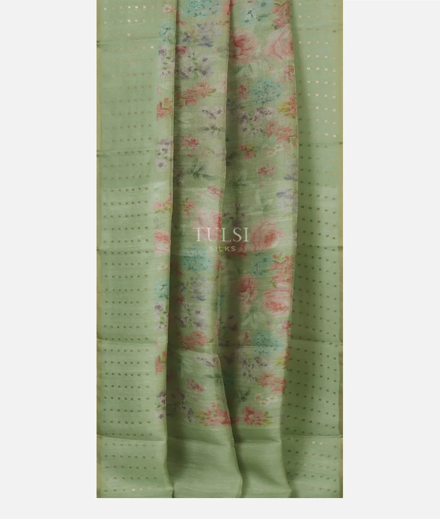 Green Tissue Organza Printed Saree T5120512