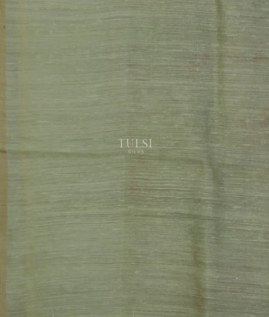 Green Tissue Organza Printed Saree T5120513