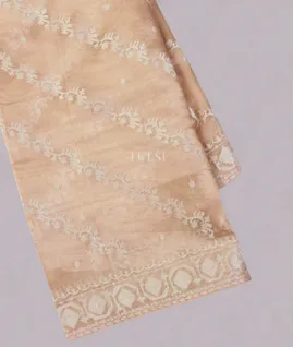 Light Peach Kora Tissue Organza Embroidery Saree T5472191