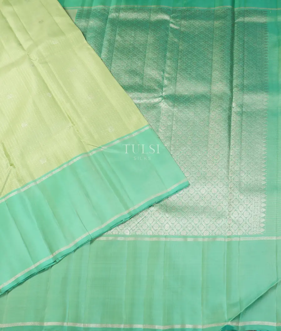 Light Pista Green Kanjivaram Silk Saree T5508264