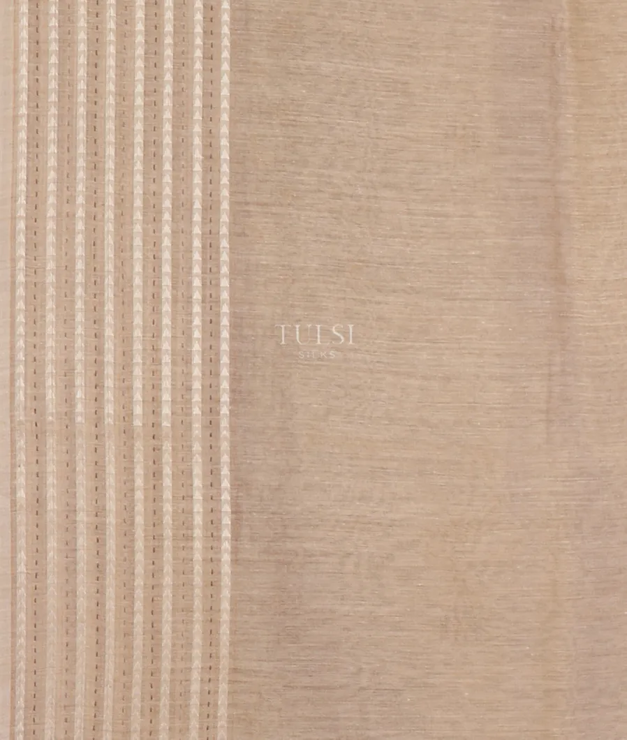 Beige Soft Tussar Embroidery saree T5534493