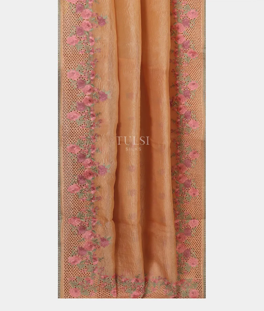 peach-kora-tissue-organza-cutwork-saree-t544168-t544168-b