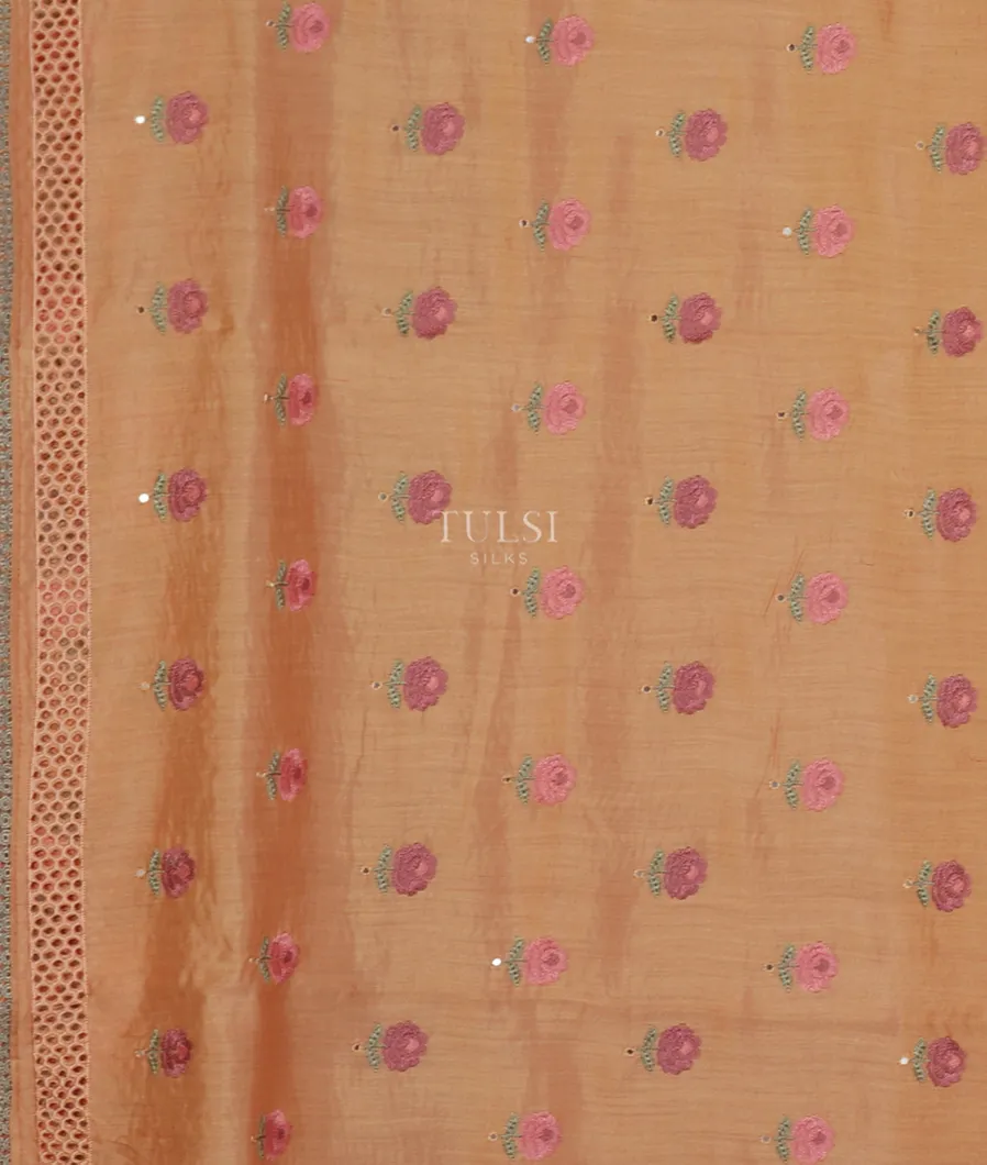 peach-kora-tissue-organza-cutwork-saree-t544168-t544168-c