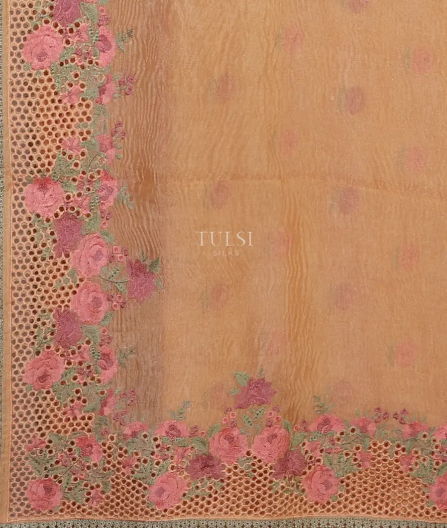 peach-kora-tissue-organza-cutwork-saree-t544168-t544168-d