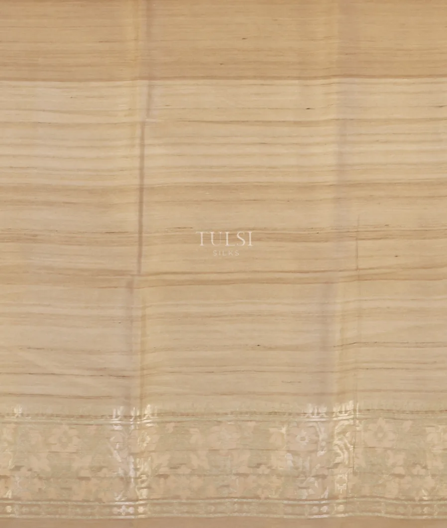 beige-banaras-tussar-saree-t518442-t518442-c