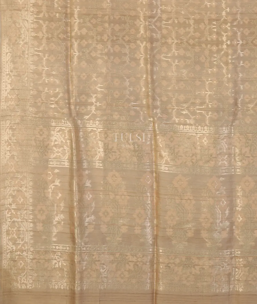 beige-banaras-tussar-saree-t518442-t518442-d