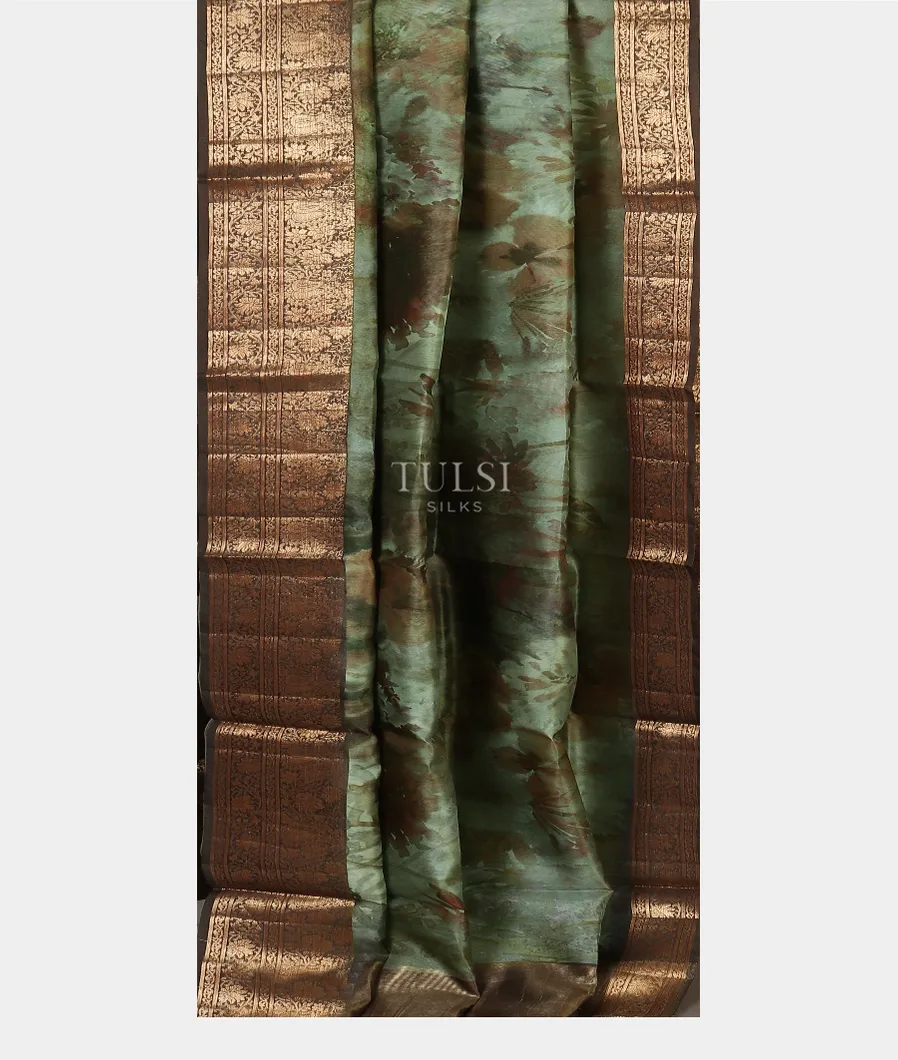 green-kora-organza-printed-saree-t496121-t496121-b