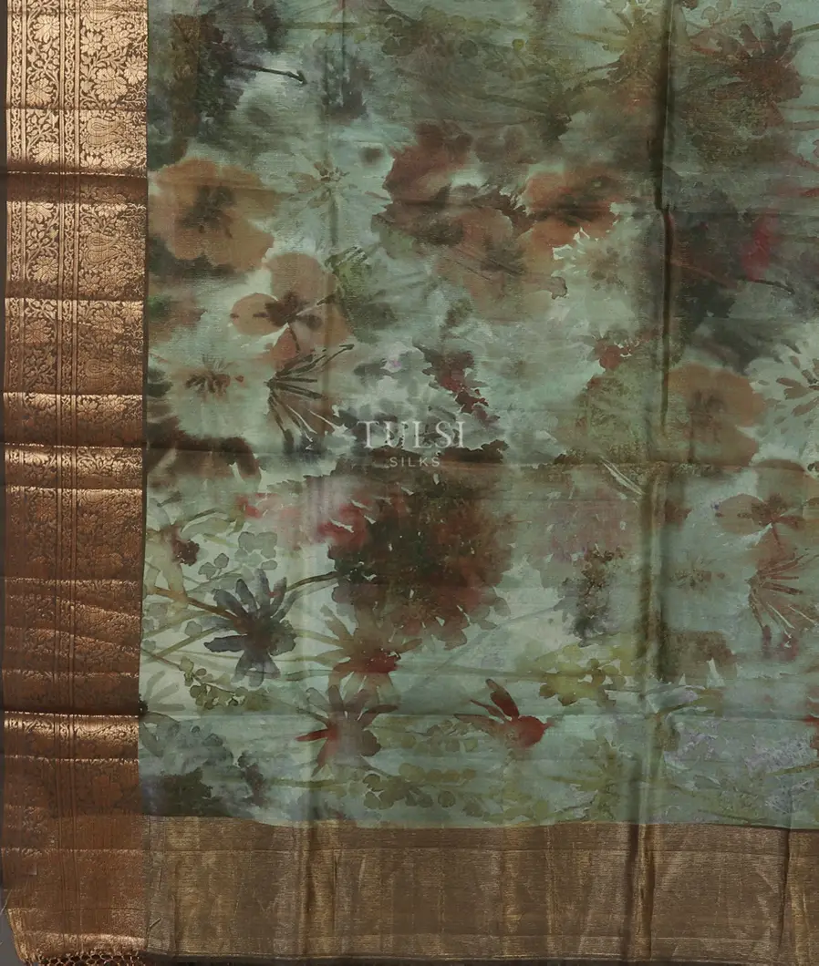 green-kora-organza-printed-saree-t496121-t496121-d