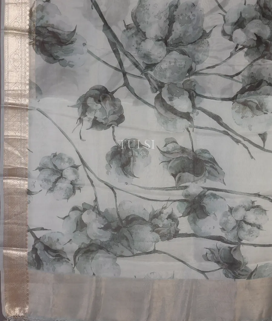 white-kora-organza-printed-saree-t521938-t521938-d