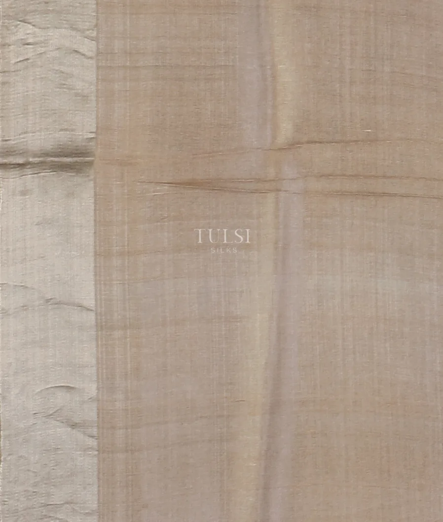 beige-tussar-printed-saree-t551084-t551084-c