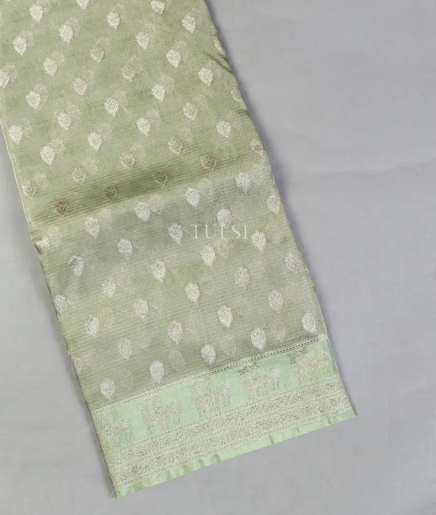 Green Banaras Tissue Organza Saree T554833-image