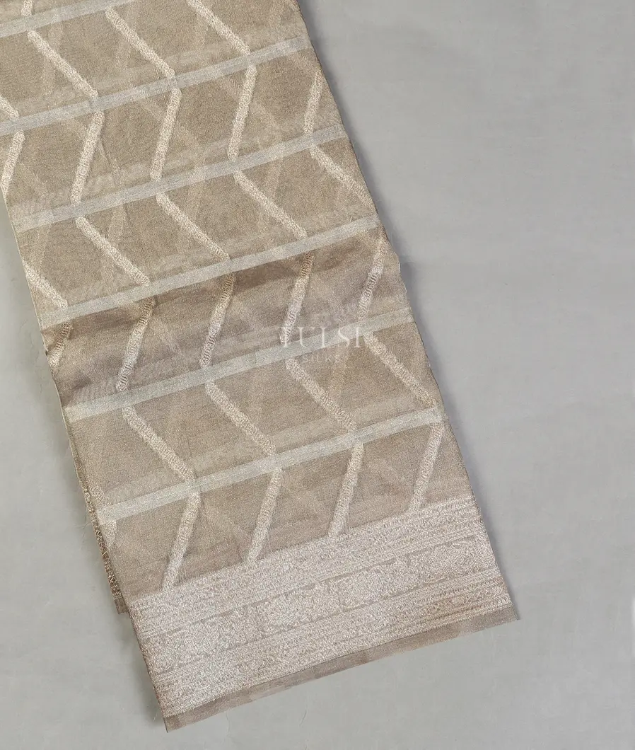 Grey Banaras Tissue Organza Saree T554820-image