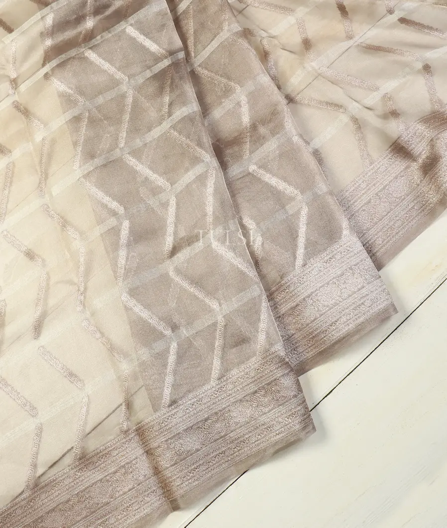 grey-banaras-tissue-organza-saree-t554820-t554820-b