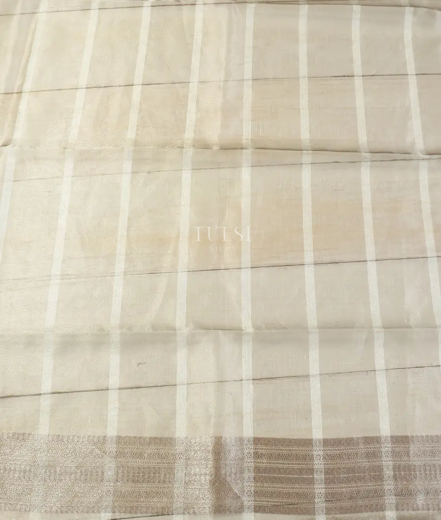 grey-banaras-tissue-organza-saree-t554820-t554820-c