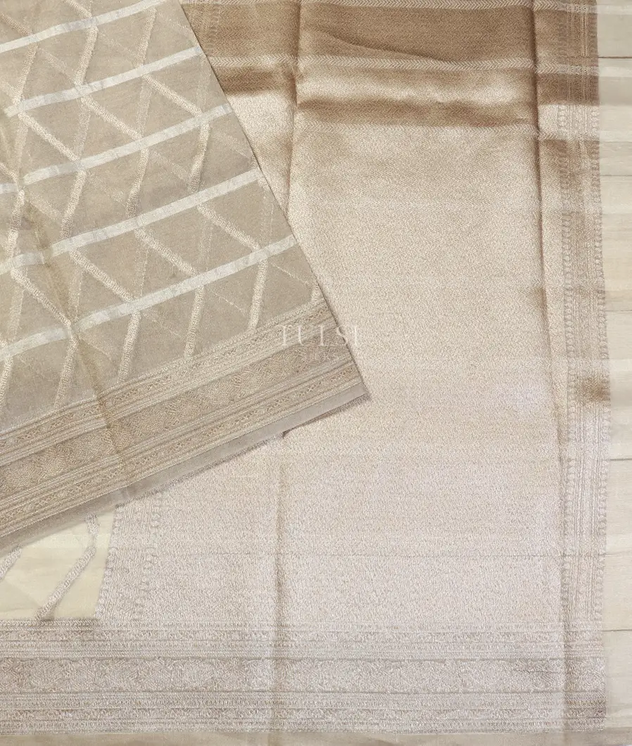 grey-banaras-tissue-organza-saree-t554820-t554820-d