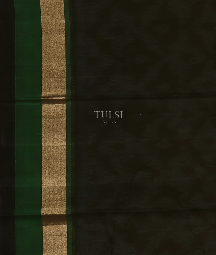 Beige Pochampalli Silk Cotton Saree T5555983