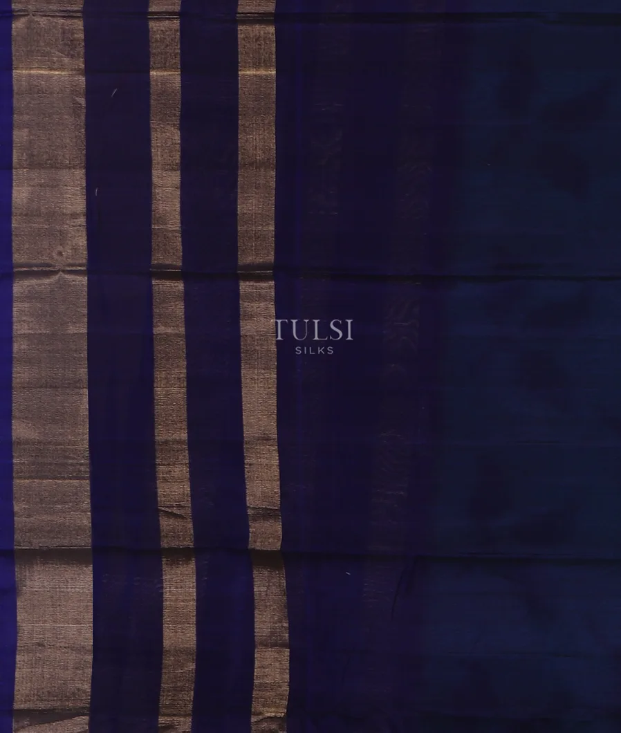 Blue Pochampalli Silk Cotton Saree T5555703