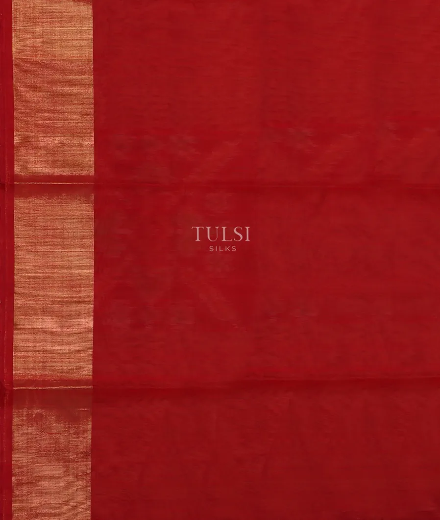 Beige Pochampalli Silk Cotton Saree T5555833