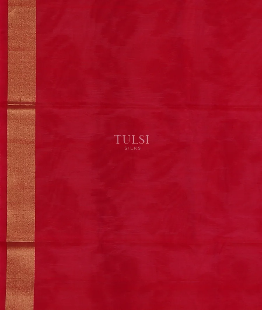 White Pochampalli Silk Cotton Saree T5555273