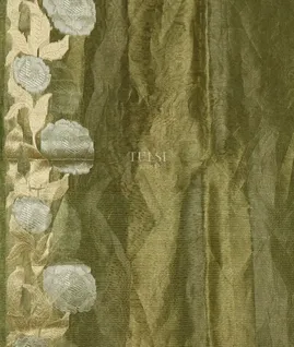 Green Woven Tissue Organza Saree T5530123