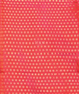 Pink Woven Tissue Organza Saree T5530104