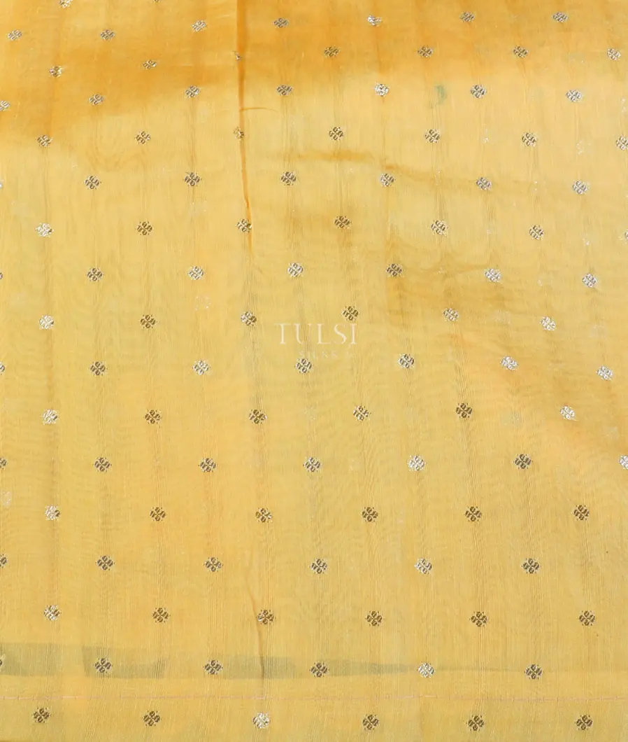 yellow-kora-organza-embroidery-saree-t561304-t561304-c