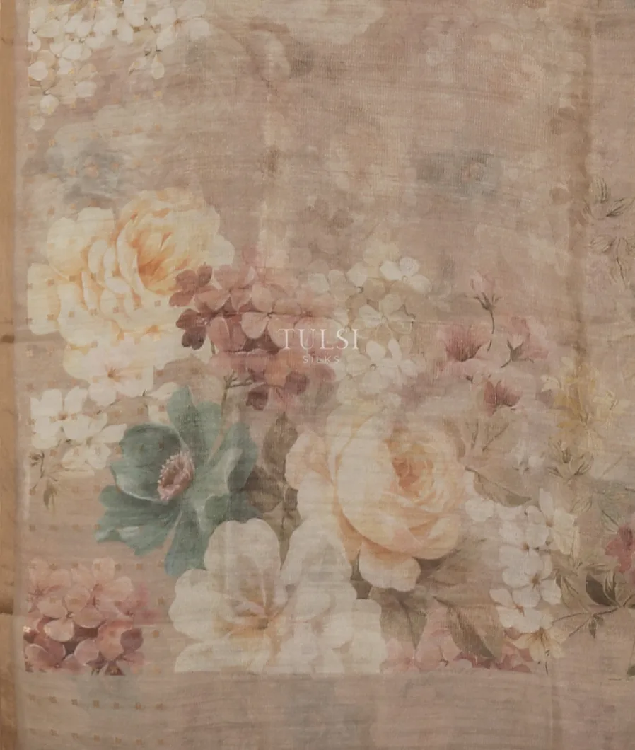 grey-kora-organza-printed-saree-t541109-t541109-d