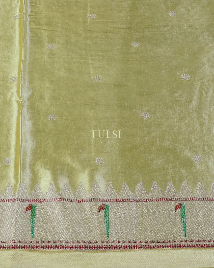 Green Kora Tissue Organza Embroidery Saree T5614243