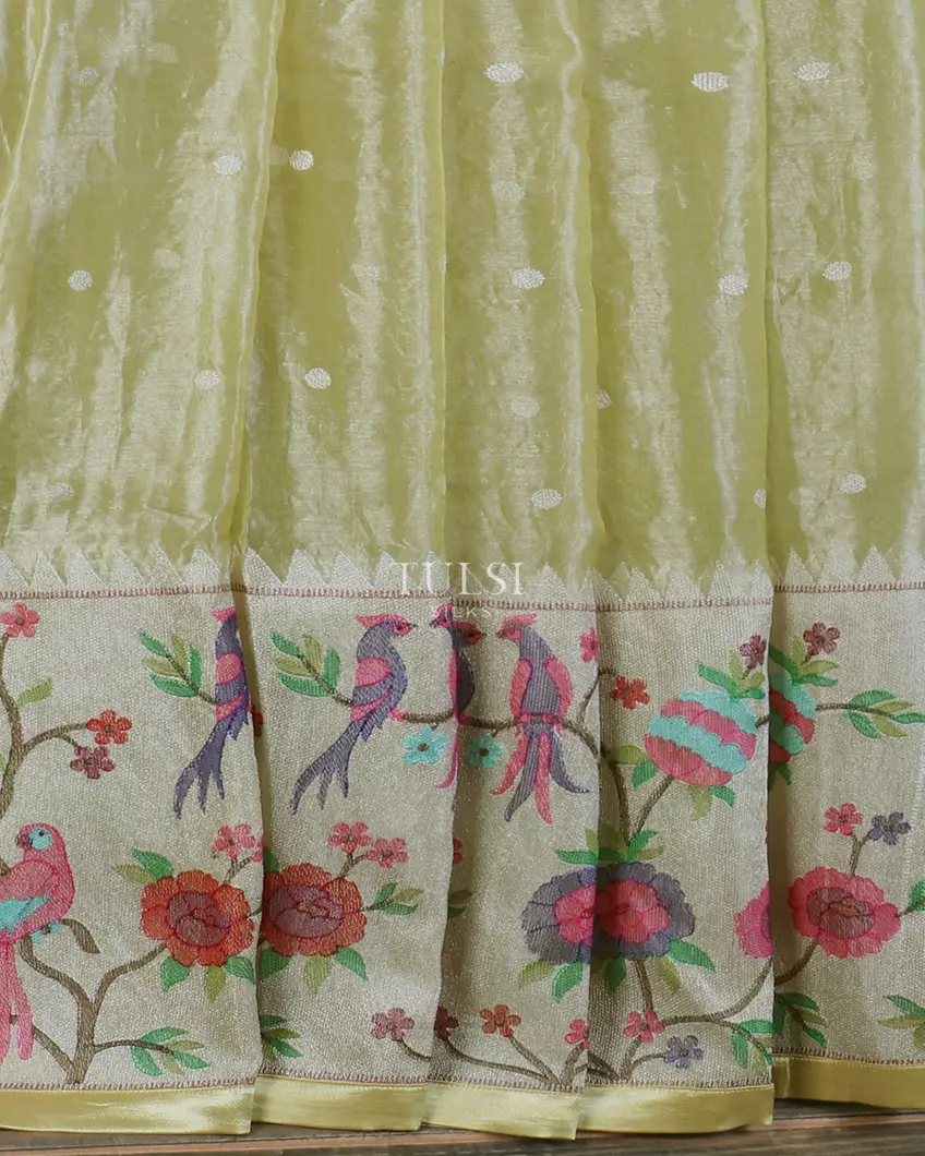 Green Kora Tissue Organza Embroidery Saree T5614244